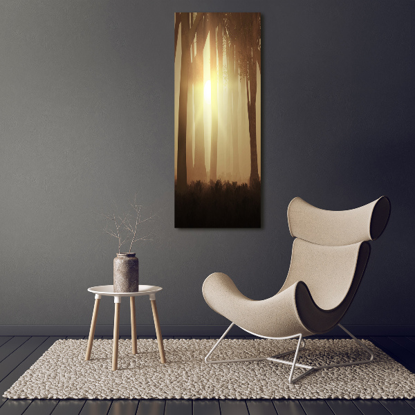 Quadro vetro verticale Nebbia nella foresta