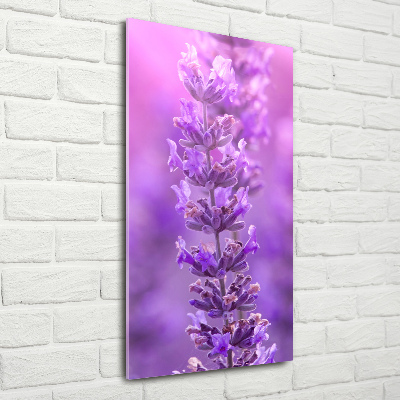 Quadro di vetro verticale Campo di lavanda