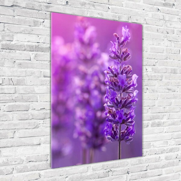 Quadro di vetro verticale Campo di lavanda