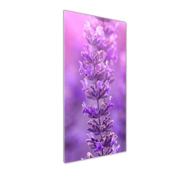 Quadro di vetro verticale Campo di lavanda