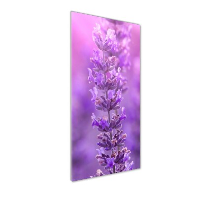 Quadro di vetro verticale Campo di lavanda