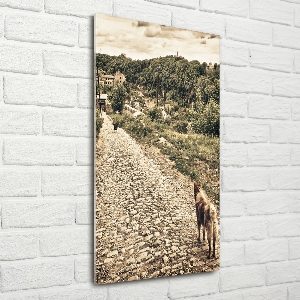 Quadro stampa su vetro verticale Due cani della collina