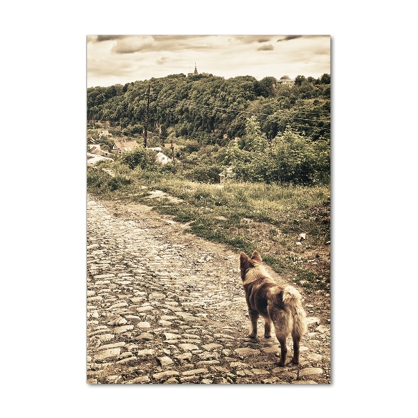 Quadro stampa su vetro verticale Due cani della collina