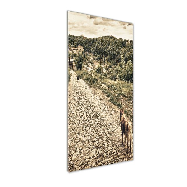 Quadro stampa su vetro verticale Due cani della collina
