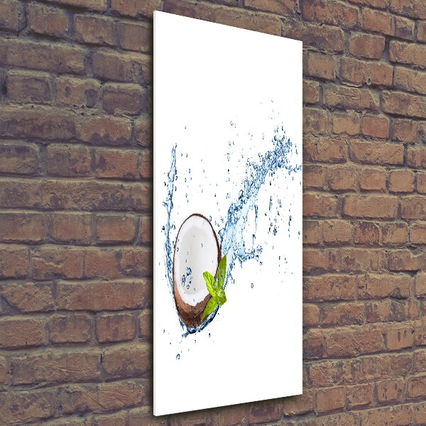 Quadro vetro verticale Noce di cocco