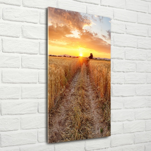 Quadro in vetro verticale Campo di grano