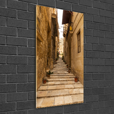Quadro di vetro verticale Le strade di Malta