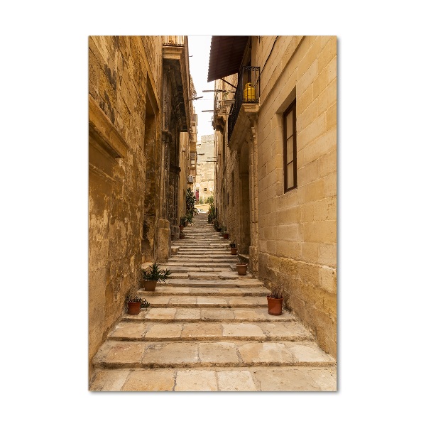 Quadro di vetro verticale Le strade di Malta