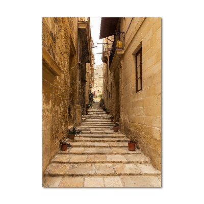 Quadro di vetro verticale Le strade di Malta