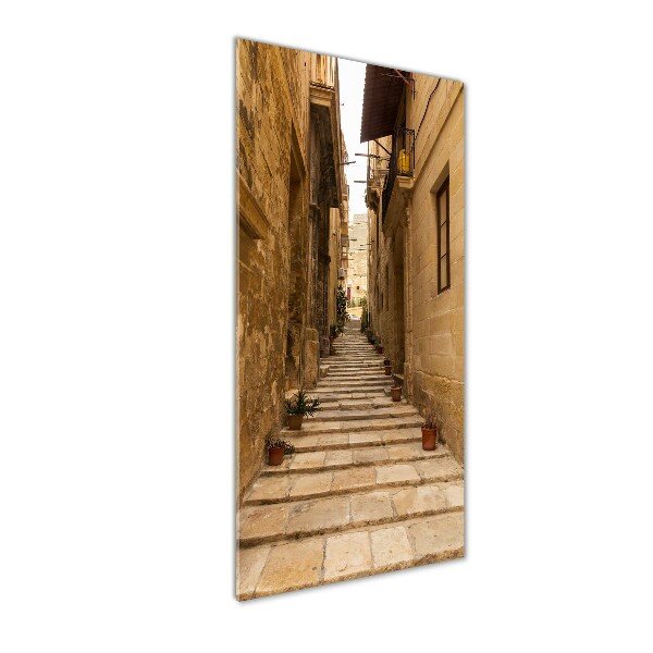 Quadro di vetro verticale Le strade di Malta