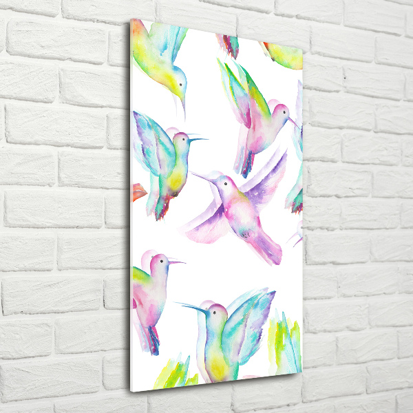 Quadro di vetro verticale Colibrì colorati