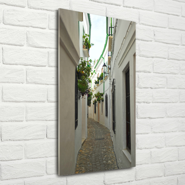 Quadro vetro verticale Le strade dell'Andalusia