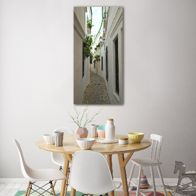 Quadro vetro verticale Le strade dell'Andalusia