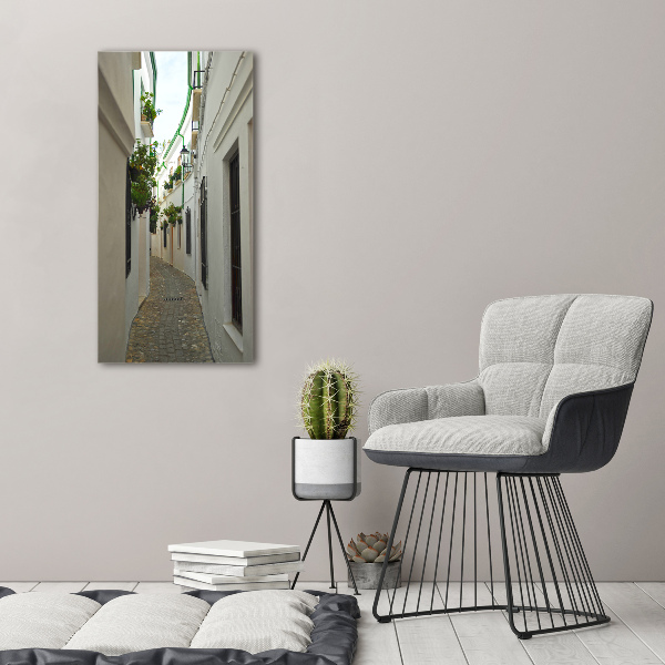 Quadro vetro verticale Le strade dell'Andalusia