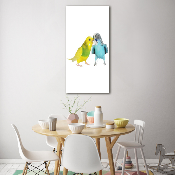 Quadro vetro verticale Pappagalli ondulati