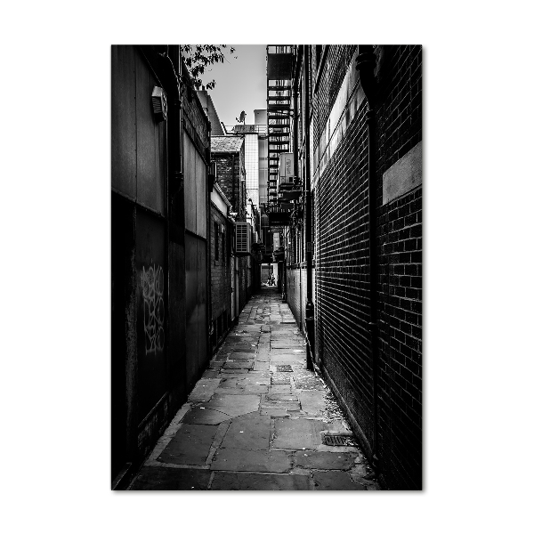 Quadro in vetro verticale Strade cittadine