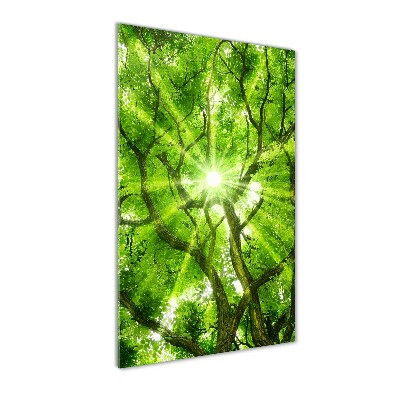 Quadro di vetro verticale Chioma dell'albero