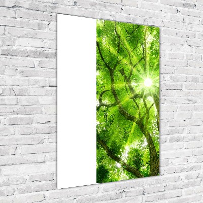 Quadro di vetro verticale Chioma dell'albero