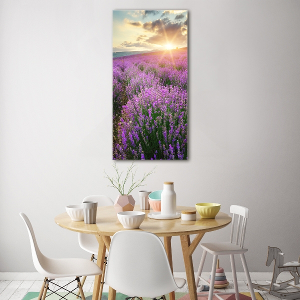 Quadro vetro verticale Campo di lavanda