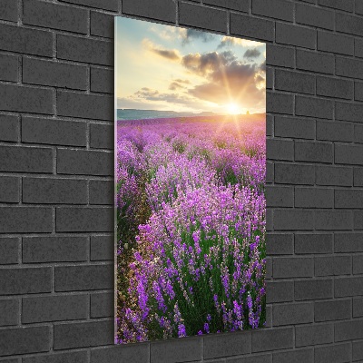 Quadro vetro verticale Campo di lavanda