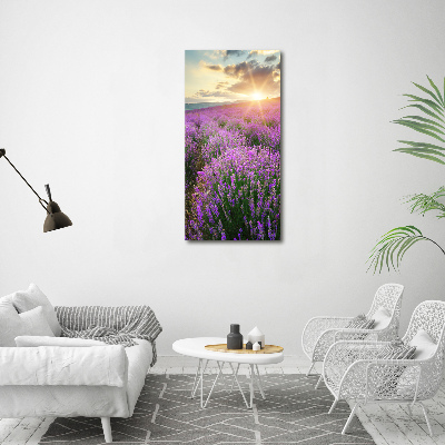 Quadro vetro verticale Campo di lavanda