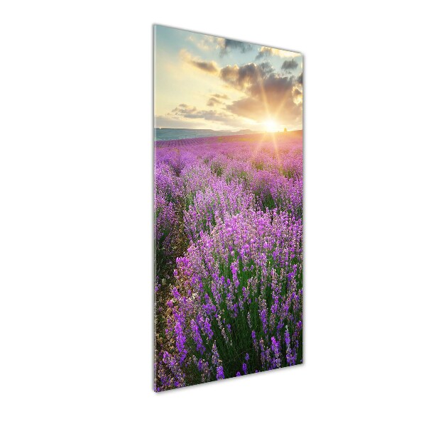 Quadro vetro verticale Campo di lavanda
