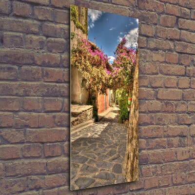 Quadro di vetro verticale Strade francesi