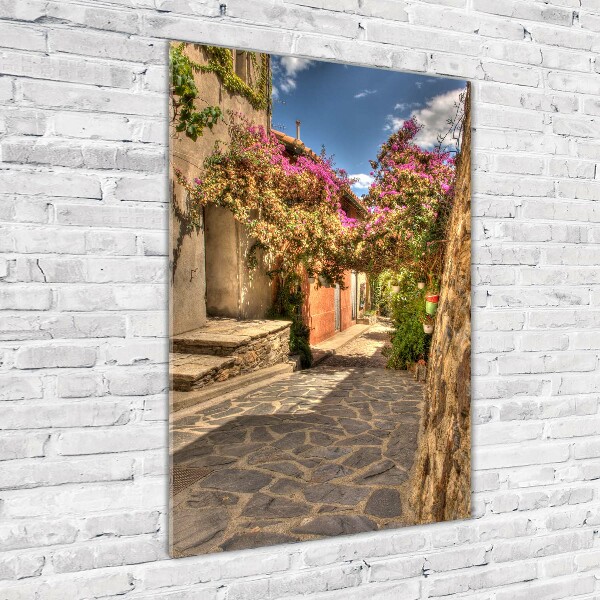 Quadro di vetro verticale Strade francesi