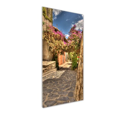 Quadro di vetro verticale Strade francesi