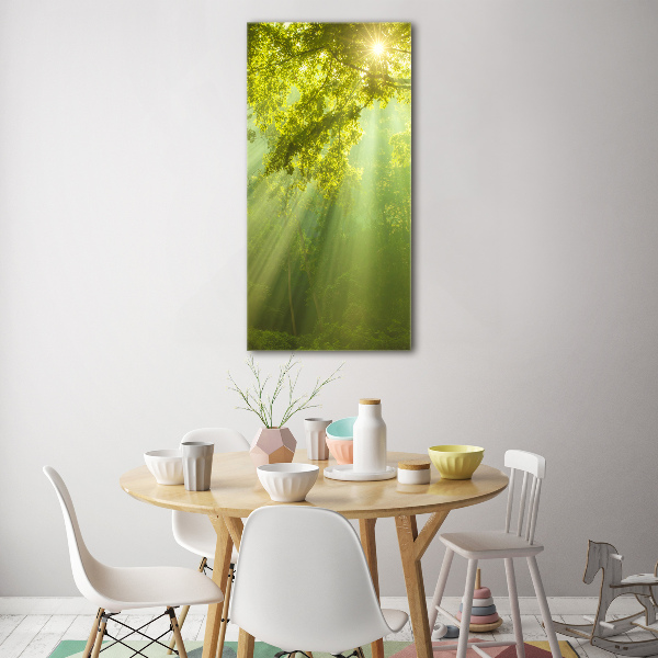 Quadro di vetro verticale Il sole nella foresta