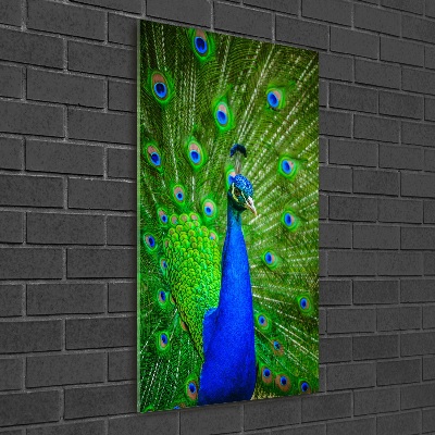 Quadro in vetro verticale Pavone
