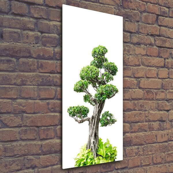 Quadro vetro verticale Albero bonsai