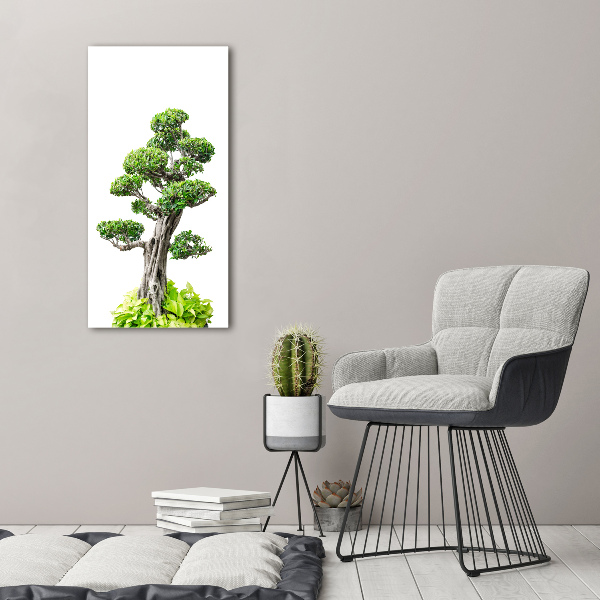 Quadro vetro verticale Albero bonsai