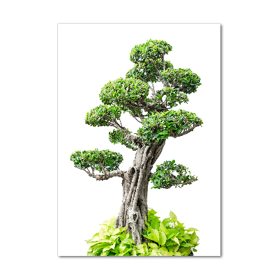 Quadro vetro verticale Albero bonsai