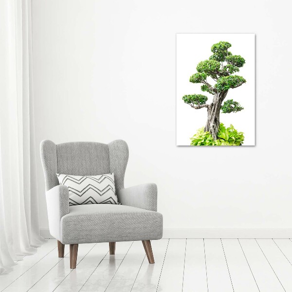 Quadro vetro verticale Albero bonsai