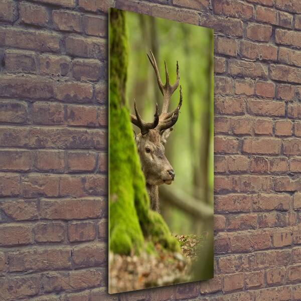 Quadro di vetro verticale Cervo