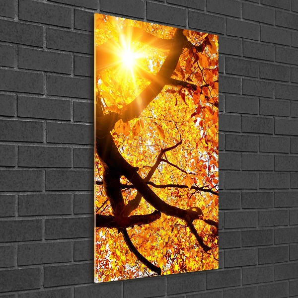 Quadro stampa su vetro verticale Albero autunnale