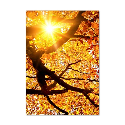 Quadro stampa su vetro verticale Albero autunnale