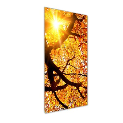 Quadro stampa su vetro verticale Albero autunnale