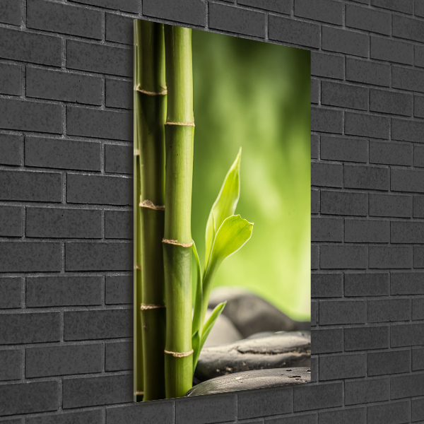 Quadro in vetro verticale Bambù