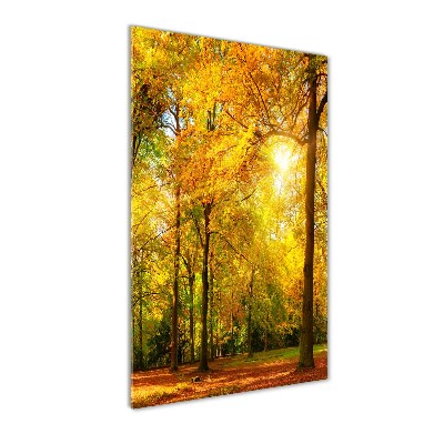 Quadro di vetro verticale Foresta in autunno
