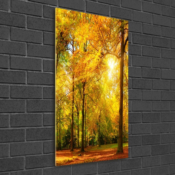 Quadro di vetro verticale Foresta in autunno