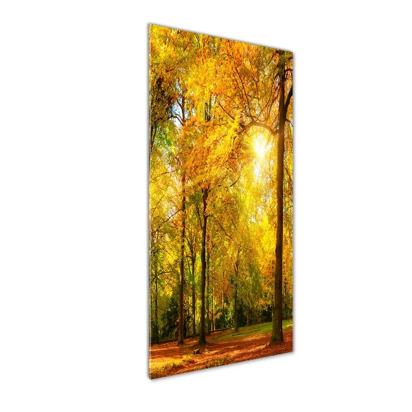 Quadro di vetro verticale Foresta in autunno