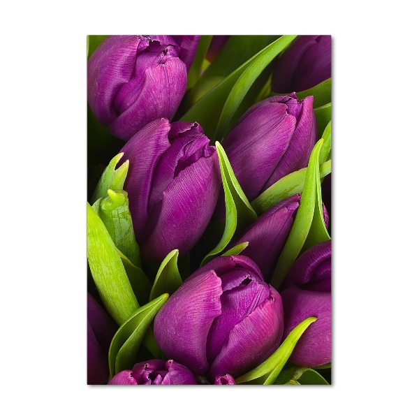 Quadro in vetro verticale Tulipani viola