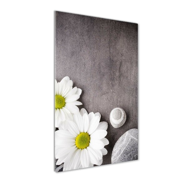 Quadro di vetro verticale Gerbera