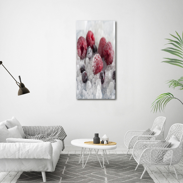 Quadro vetro verticale Frutta congelata