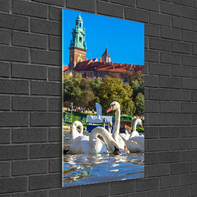 Quadro in vetro verticale Cracovia, Polonia