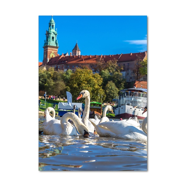 Quadro in vetro verticale Cracovia, Polonia