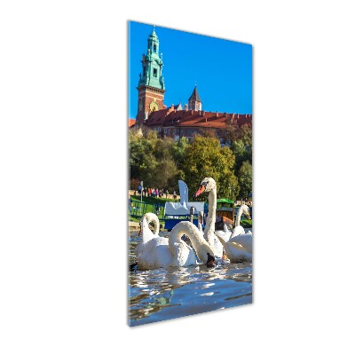 Quadro in vetro verticale Cracovia, Polonia