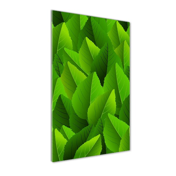 Quadro di vetro verticale Foglie verdi